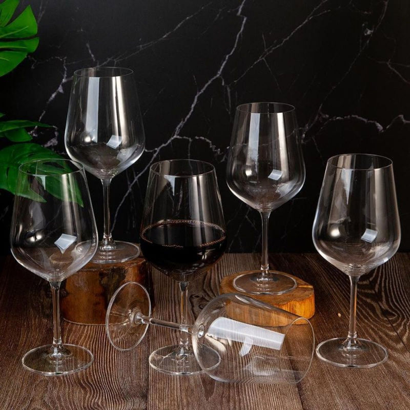 Crystal Bohemia Red Wine Glass Strix - Set 6