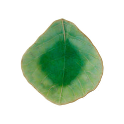 Costa Nova Riviera Tomate Leaf Dip Dish 11cm