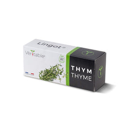 Veritable Lingot - Thyme